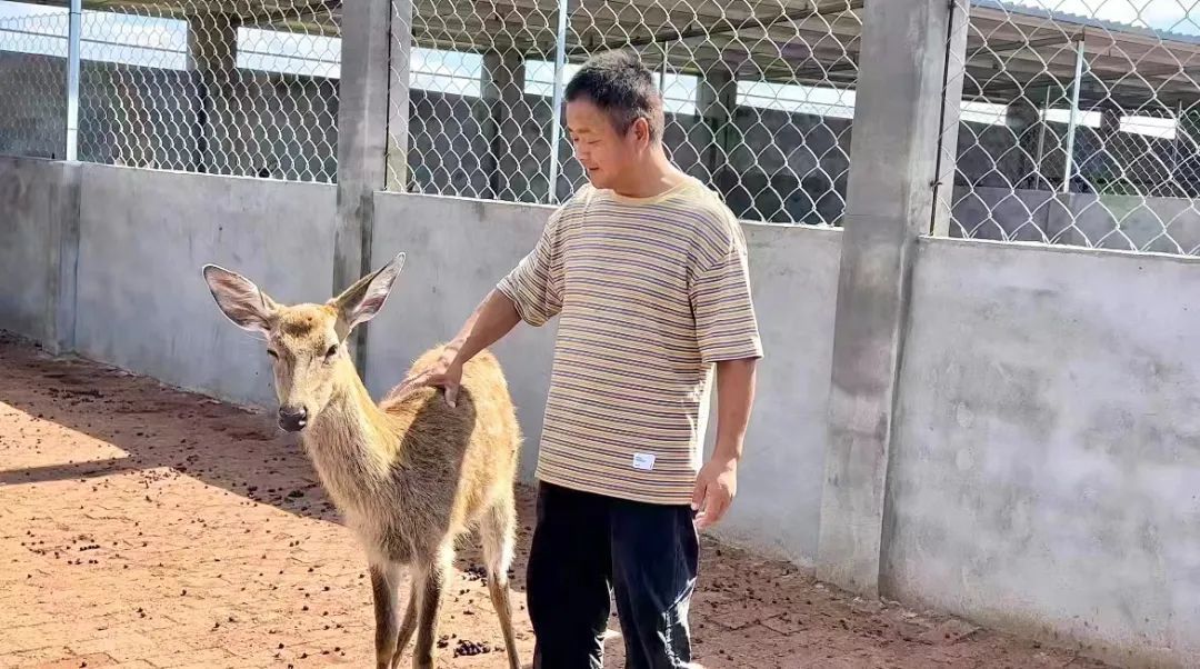 大满贯下载安卓版